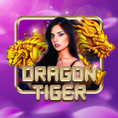 Spin Time Dragon Tiger icon